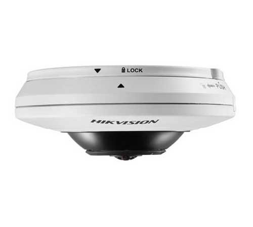 دوربین مداربسته هایک ویژن دام تحت شبکه مدل 2CD2942F