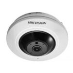 دوربین مداربسته هایک ویژن دام تحت شبکه مدل 2CD2942F