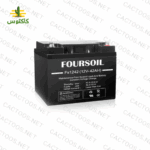 باتری یو پی اس foursoile12-42A